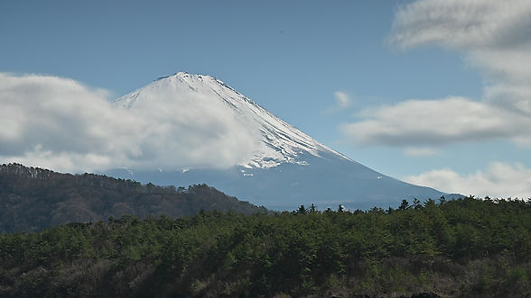 西湖から望む富士山   The view of Mt. Fuji from Saiko Lake.